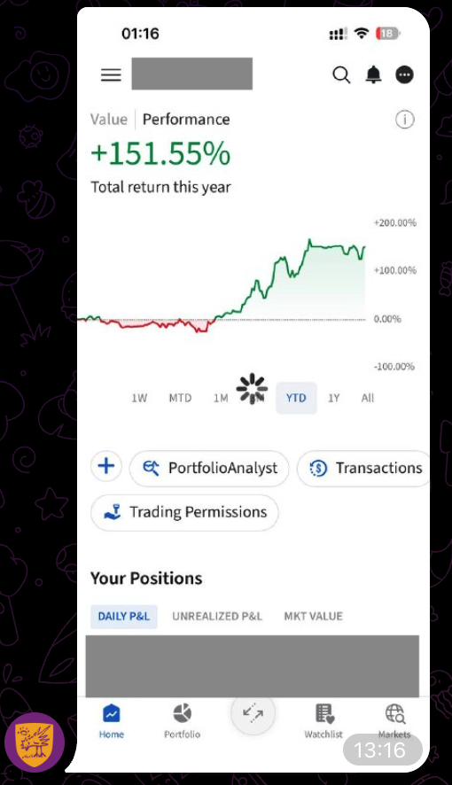 會員自行分享的 Interactive Brokers 年初至今回報截圖
